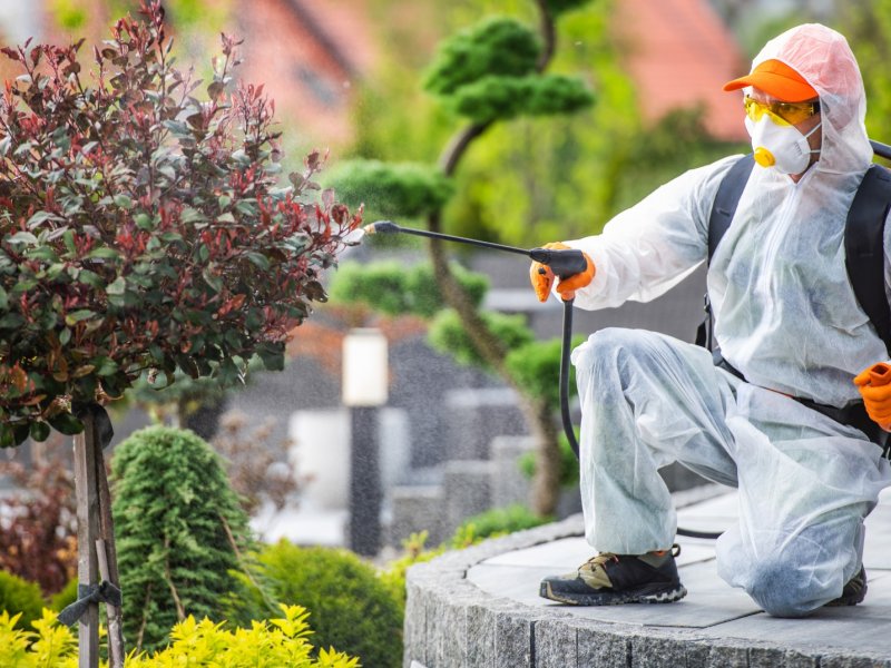 Babadağ Haşere İlaçlama